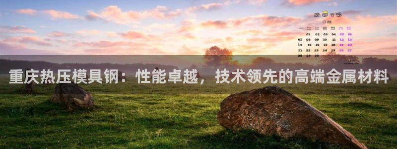 emc易倍官网app官网：重庆热压模具钢：性能卓越，技术