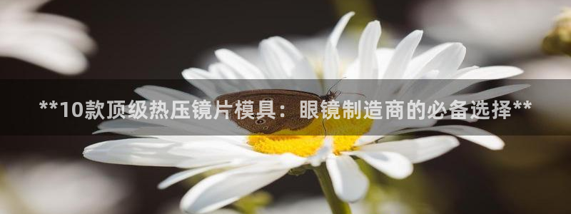 易倍英语官方网站登录：**10款顶级热压镜片模具：眼镜制
