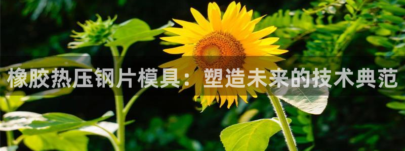 四川易倍易企业管理有限公司：橡胶热压钢片模具：塑造未来的