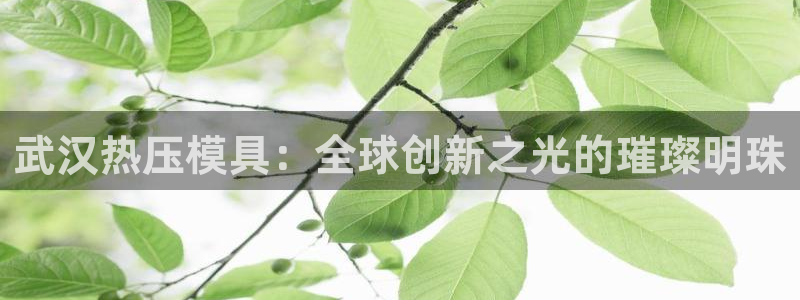 易倍思怎么样：武汉热压模具：全球创新之光的璀璨明珠