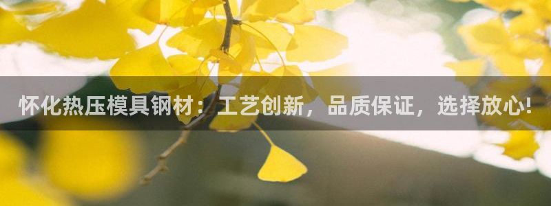 emcbet全站：怀化热压模具钢材：工艺创新，品质保证，