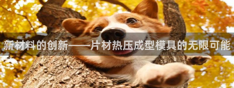 emc易贝体育怎么样：新材料的创新——片材热压成型模具的