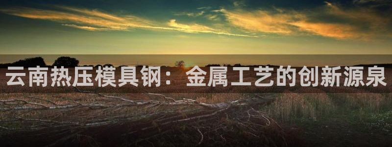 易倍思机电制造(上海)有限公司：云南热压模具钢：金属工艺