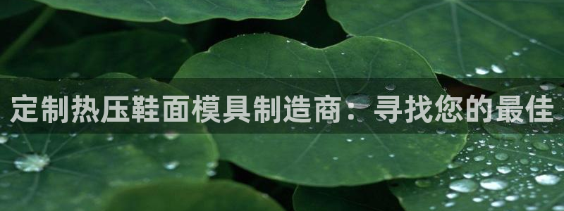 易倍企业管理软件怎么样:定制热压鞋面模具制造商:寻找您的