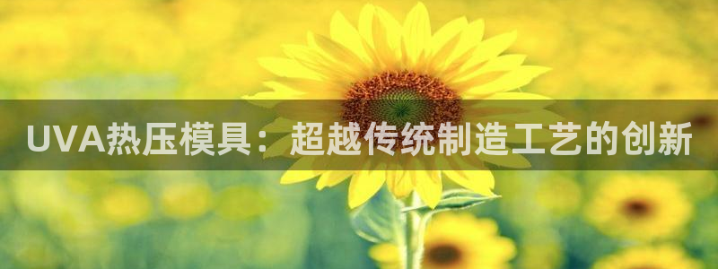 emc易倍：UVA热压模具：超越传统制造工艺的创新