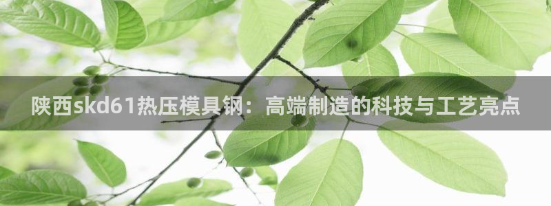 易倍申可以长期服用吗：陕西skd61热压模具钢：高端制造