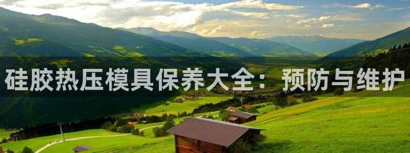 易倍全站下载：硅胶热压模具保养大全：预防与维护