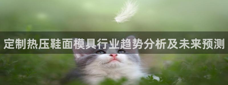 武汉易倍捷科技有限公司：定制热压鞋面模具行业趋势分析及未