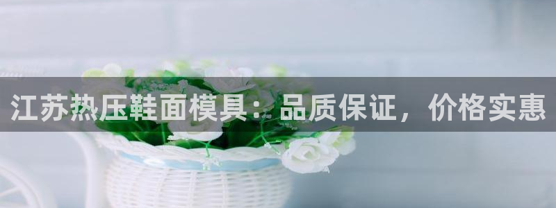 易倍纤代餐粉能减肥吗:江苏热压鞋面模具:品质保证,价格实