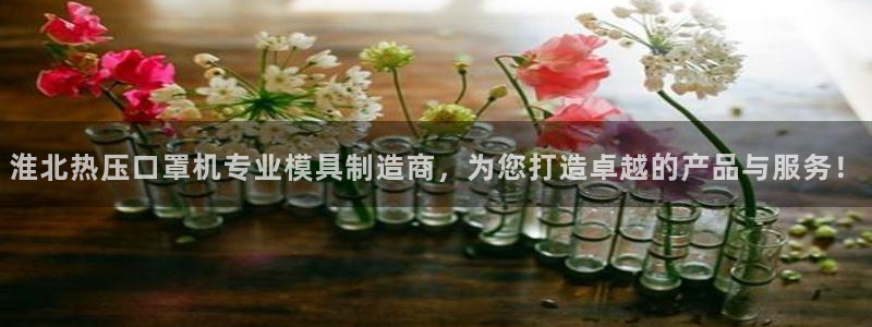 emc下载：淮北热压口罩机专业模具制造商，为您打造卓越的