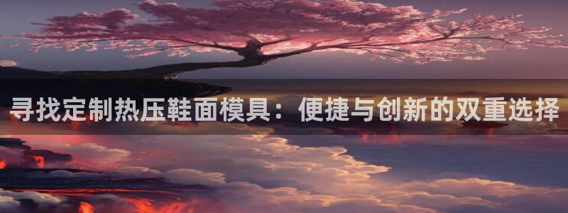emc易倍官网app官网：寻找定制热压鞋面模具：便捷与创
