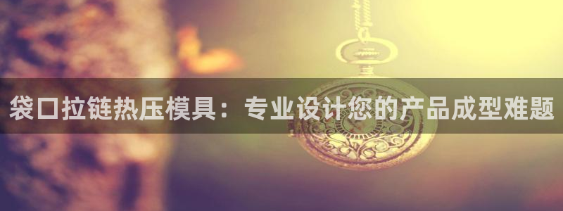 emc服务器是干啥的：袋口拉链热压模具：专业设计您的产品