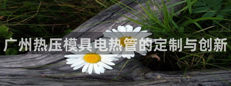 易倍易倍单词官方网站：广州热压模具电热管的定制与创新