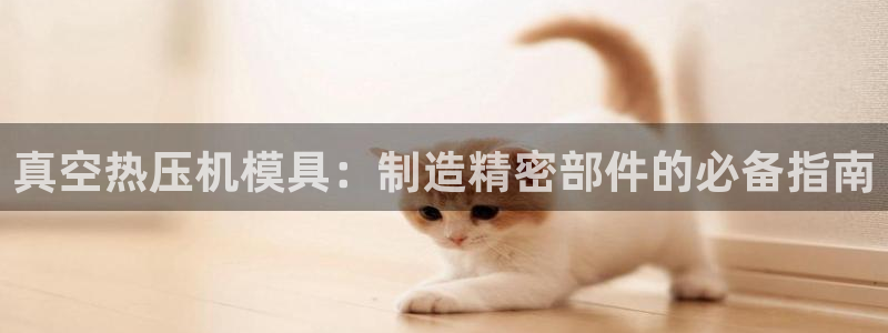 易倍单词app下载
