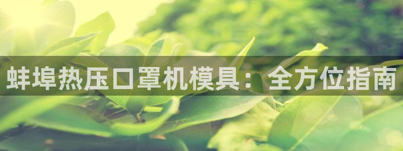 易倍单词app：蚌埠热压口罩机模具：全方位指南