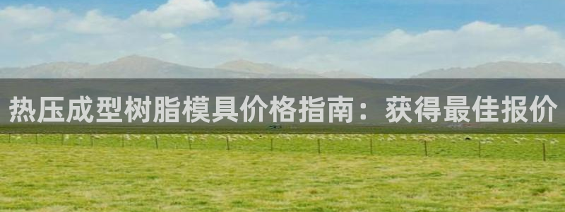 易倍申的副作用：热压成型树脂模具价格指南：获得最佳报价