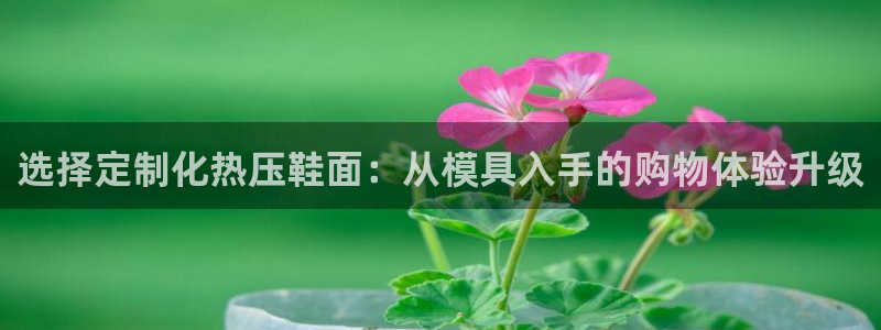 emc易倍官方平：选择定制化热压鞋面：从模具入手的购物体