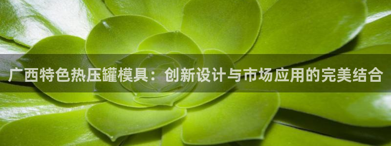 emc易倍首存500送球衣:广西特色热压罐模具:创新设计