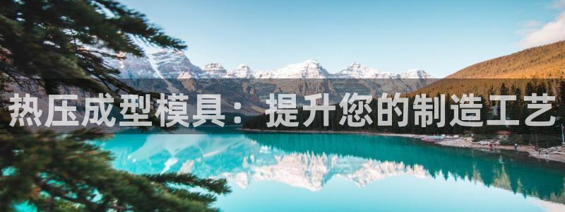 易倍申效果怎么样：热压成型模具：提升您的制造工艺