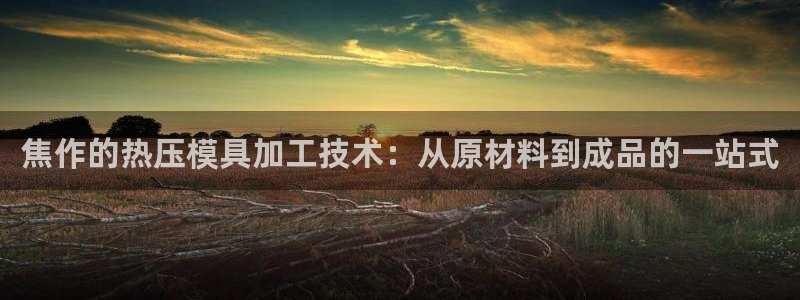 emc倍频：焦作的热压模具加工技术：从原材料到成品的一站