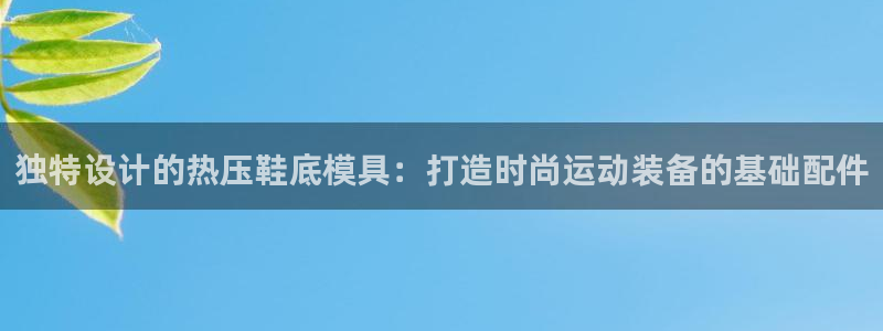 易倍app官网下载安装：独特设计的热压鞋底模具：打造时尚