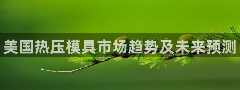 emc网页版：美国热压模具市场趋势及未来预测