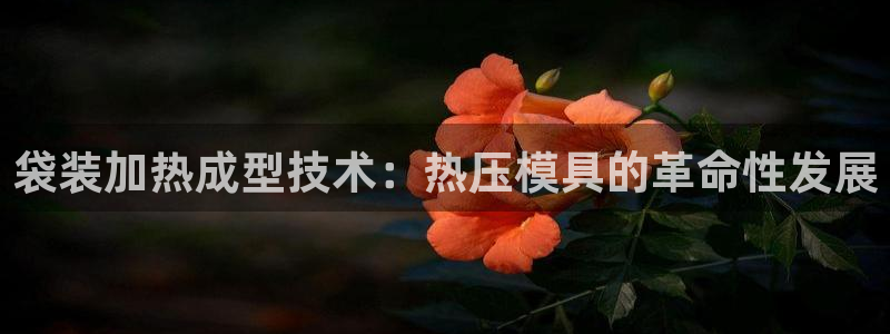 emc服务器是干啥的：袋装加热成型技术：热压模具的革命性