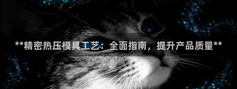 emc服务器是什么：**精密热压模具工艺：全面指南，提升