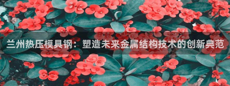 emc平台：兰州热压模具钢：塑造未来金属结构技术的创新典