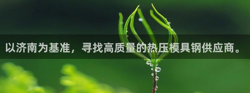 易倍纤官网：以济南为基准，寻找高质量的热压模具钢供应商。
