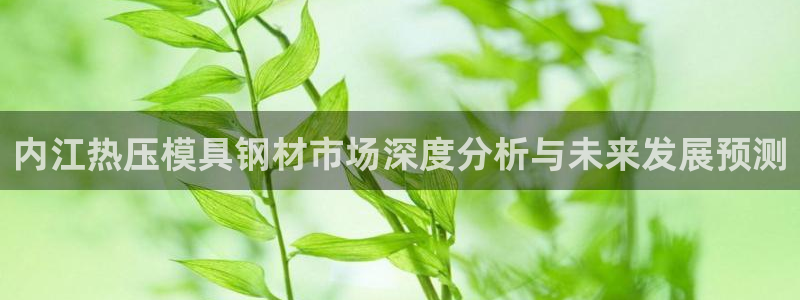 易倍EMC网址：内江热压模具钢材市场深度分析与未来发展预
