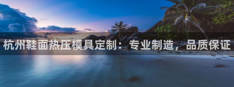 易倍达科技有限公司怎么样：杭州鞋面热压模具定制：专业制造