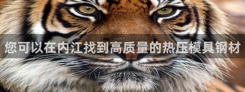 易倍企业管理软件