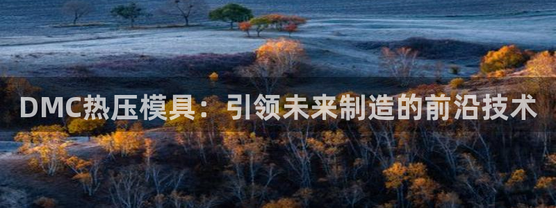 易倍网络技术有限公司招聘:DMC热压模具:引领未来制造的