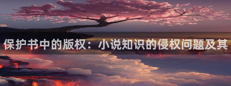 牛眼看书无错版：保护书中的版权：小说知识的侵权问题及其