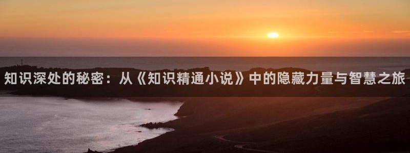牛眼看书爽文：知识深处的秘密：从《知识精通小说》中的隐藏力量与智慧之旅