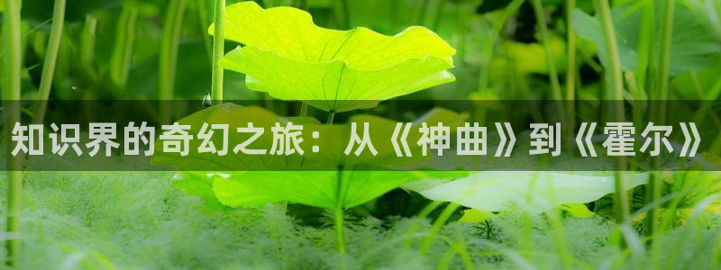 牛眼看书官网：知识界的奇幻之旅：从《神曲》到《霍尔》