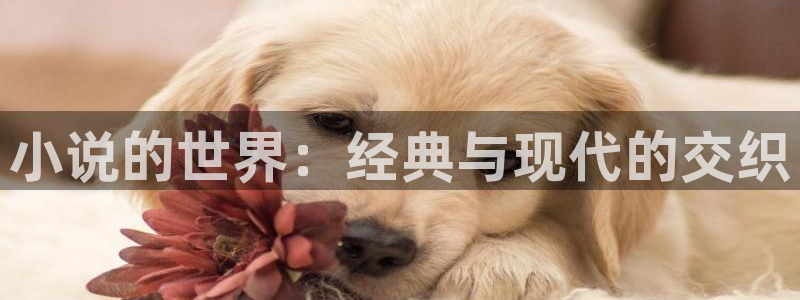 牛眼看书总排行：小说的世界：经典与现代的交织