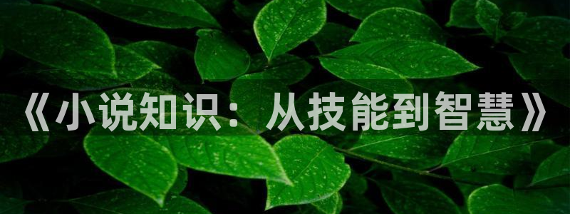 牛眼看书免费排行榜：《小说知识：从技能到智慧》